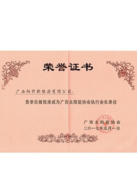 廣西太陽能協(xié)會執(zhí)行會長